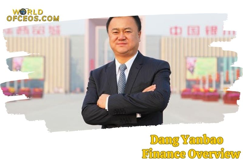 Dang Yanbao Finance Overview