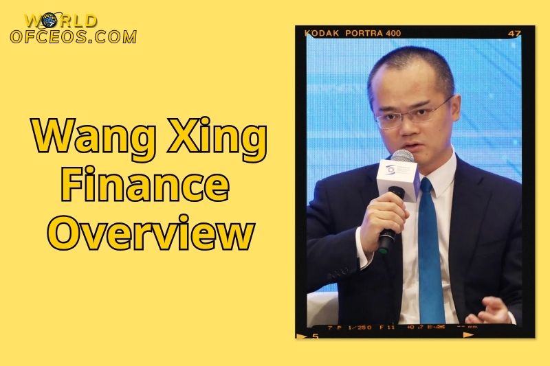 Wang Xing Finance Overview
