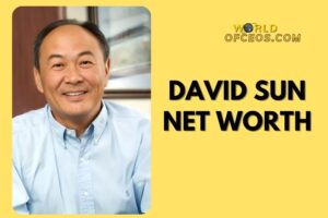 What is David Sun Net Worth 2024: Sources of Wealth, Income/Salary & More