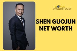 What is Shen Guojun Net Worth 2024: Sources of Wealth, Income/Salary & More