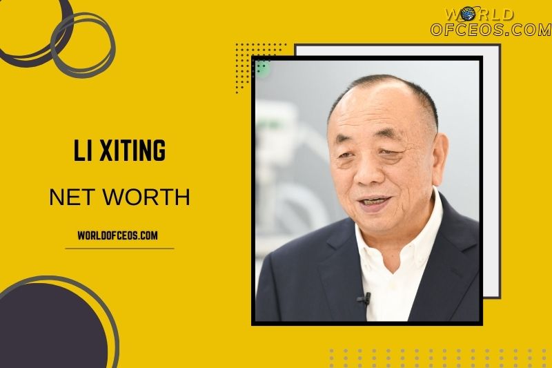 What is the Net Worth Of Li Xiting in 2024
