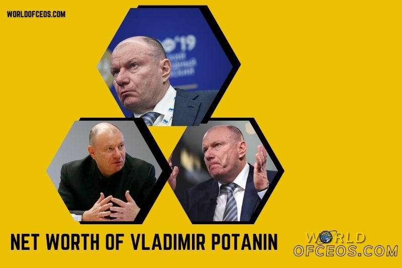 What is the Net Worth Of Vladimir Potanin in 2024
