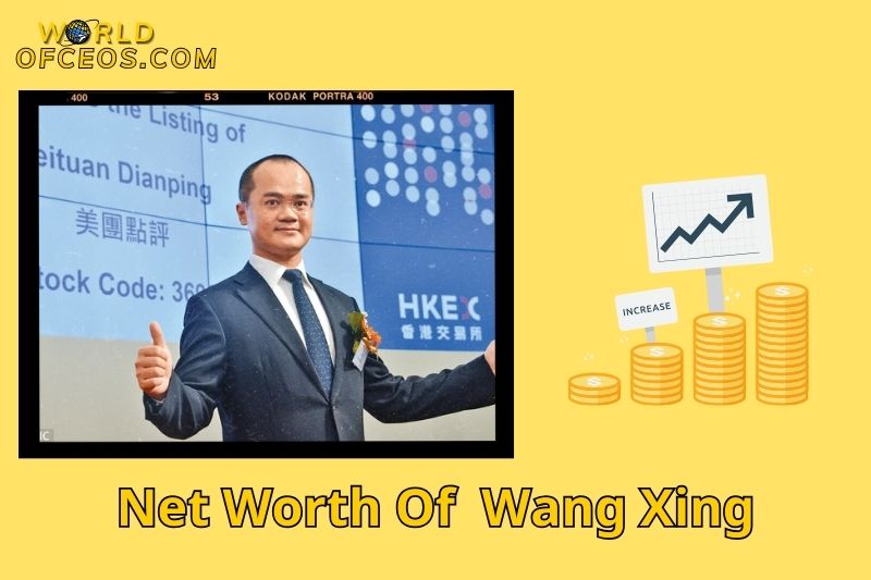 What is the Net Worth Of Wang Xing in 2024