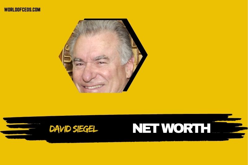 What is the Net Worth of David Siegel in 2024