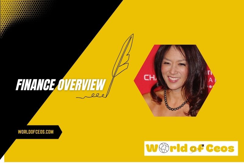 Amy Chua Salary and Financial Overview