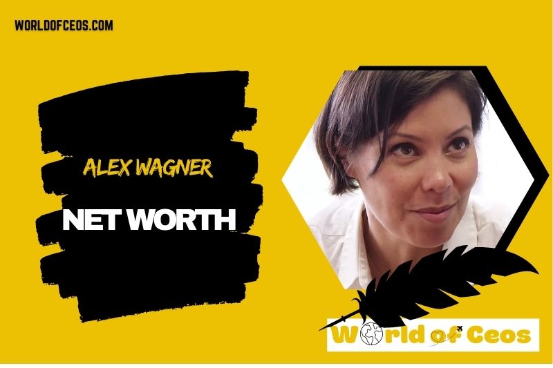 What is the Net Worth Of Alex Wagner in 2024