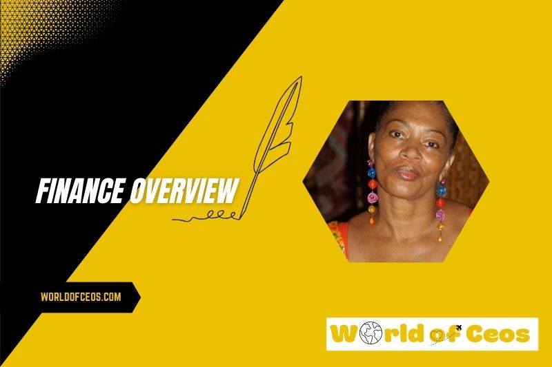 Terry Mcmillan Wealth, Salary and Finance Overview