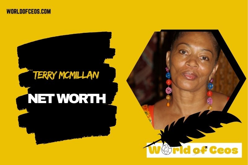 What is the Net Worth Of Terry Mcmillan in 2024