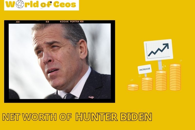 What is the Net Worth Of hunter biden in 2024